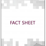 Socionext Product Fact Sheet